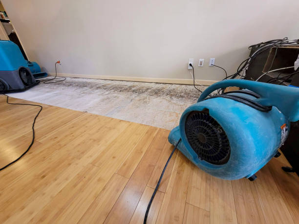 Professional Emergency Water Damage technician working in Keene, TX